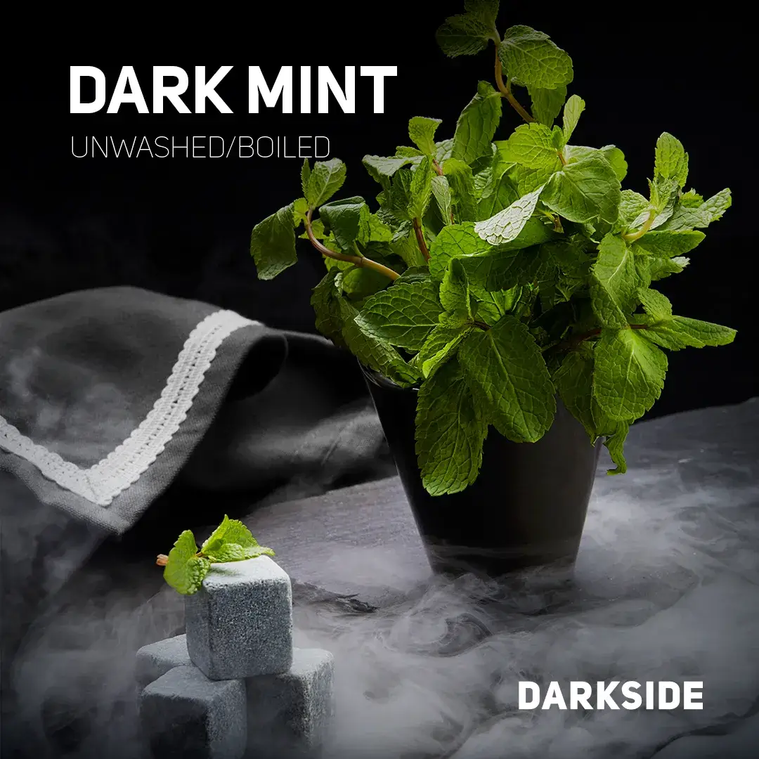 Darkside Dark Mint 100 гр. (Темная Мята) Core